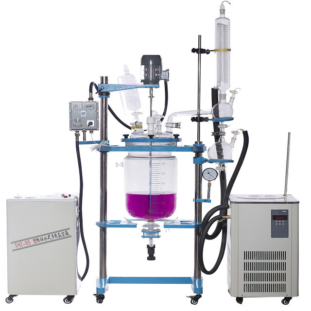 100L Jacketed Process Reactor Systems, Electric Motor, Squatty