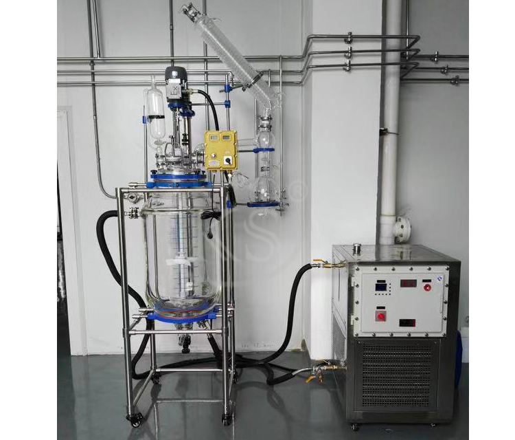 50L Jacketed Process Reactor Systems, Electric Motor, Squatty